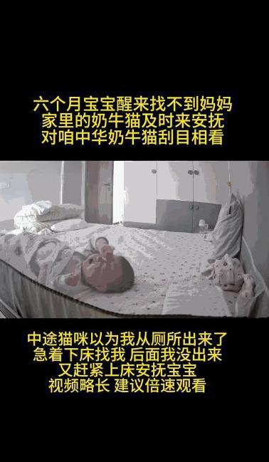 “万物皆有灵！”湖北武汉，一6个月大的宝宝睡醒后发现妈妈不在身边，瞬间哭闹起来，