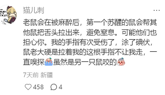 人生病的时候在被老鼠照顾