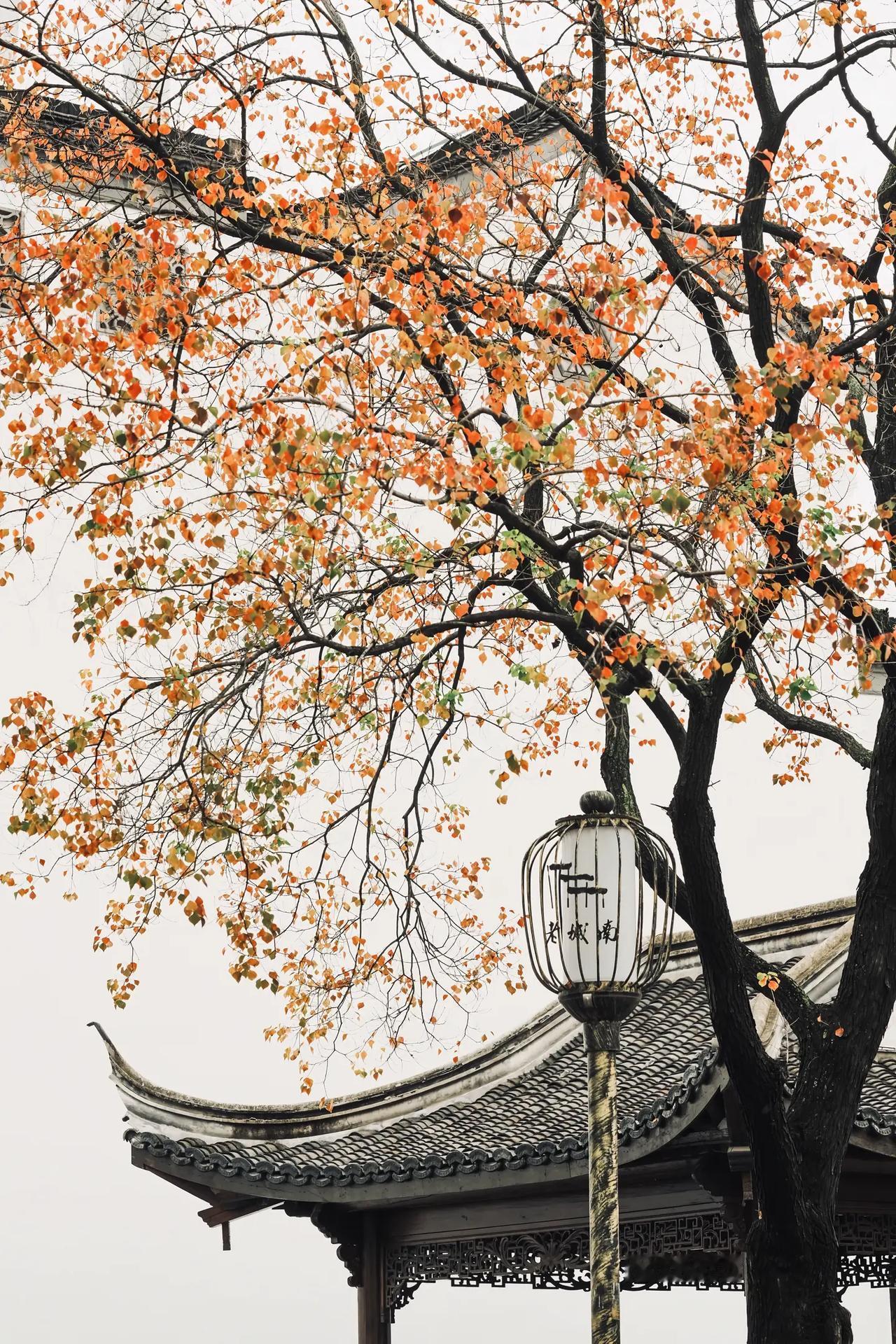 高中数学，从62分到135分的逆袭路今天听了一个故事，是一个重点高中的高三的