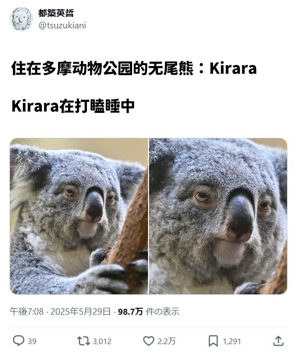 吃完午饭的我：meme​​​
