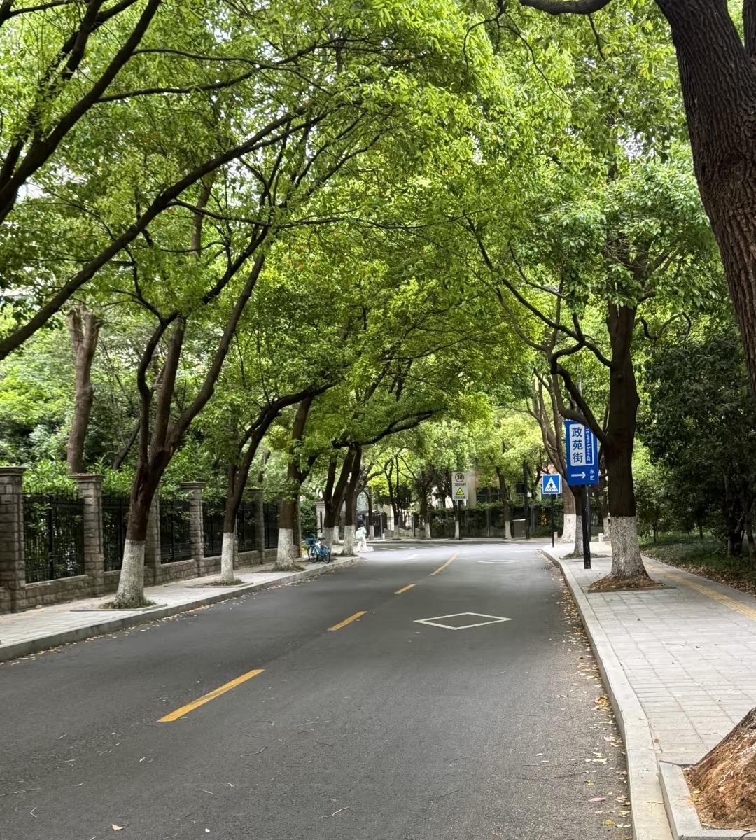 性格软不是错，但在职场上，善良必须带点锋芒。想从