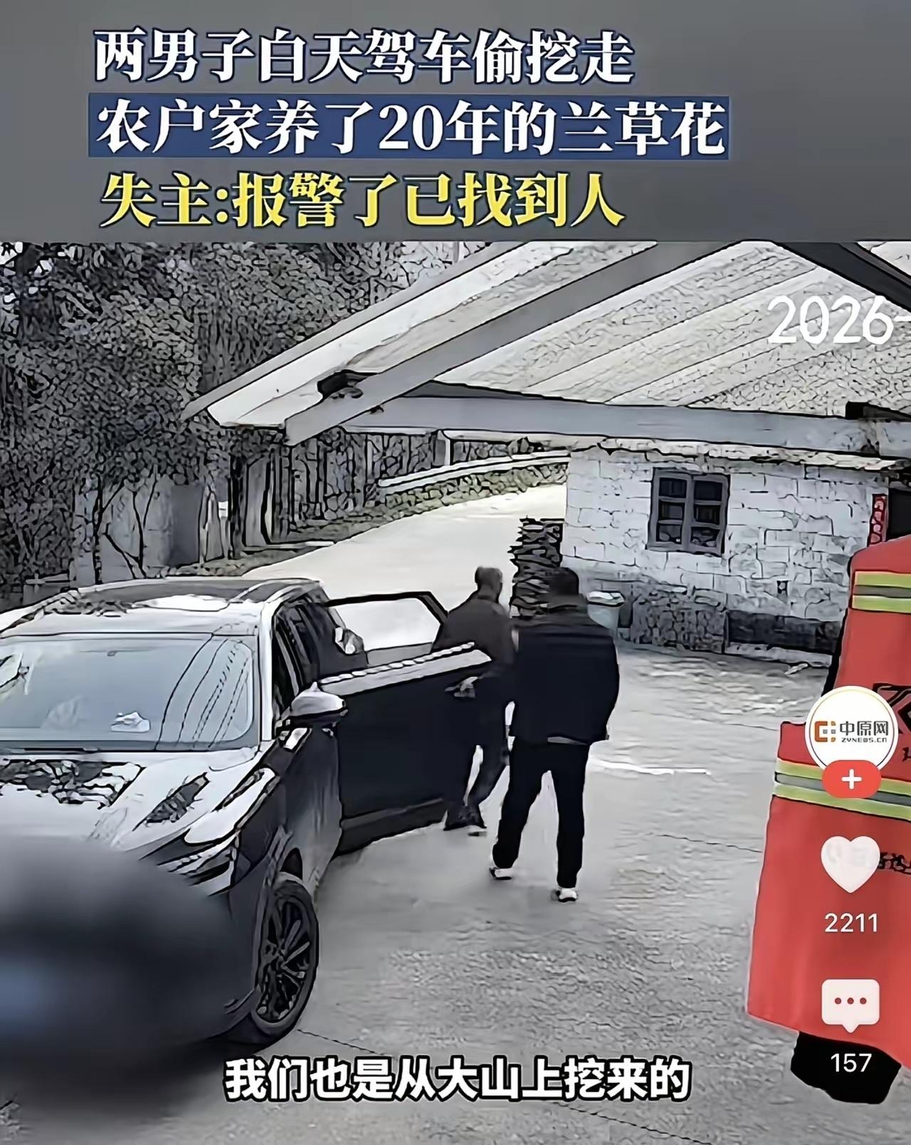 养了20多年的兰草被人连根拔走！农妇回家看到空荡荡的土坑，调监控发现两男子光天化