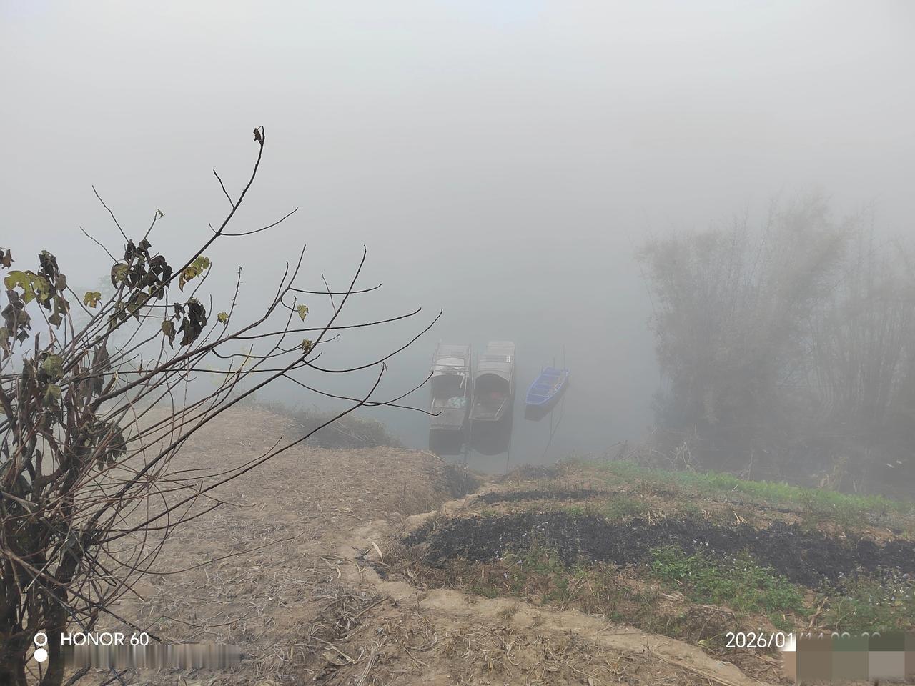 “哇！好大的雾！”“烟笼寒水月笼沙”这两句话有没有区别？[呲牙笑][呲牙笑]