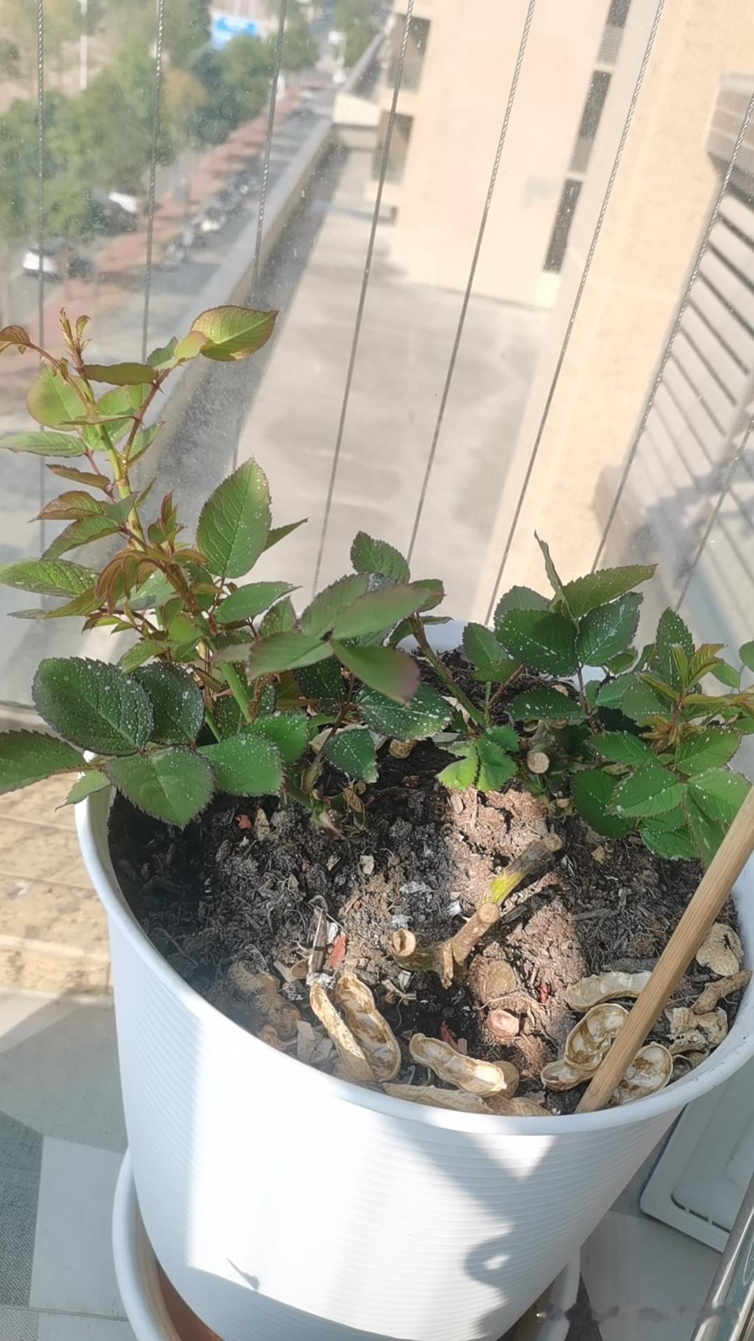 1999年我在东莞的一家帽子厂打工，那时的劳动法不健全，我上了一个月班，还没到发