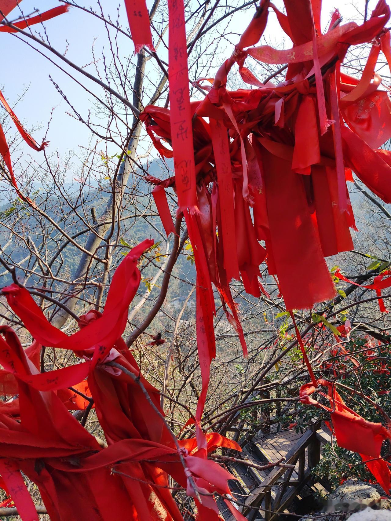 【引言】居民收入分配制度或迎重大改革，“十五五”规划建议中提到，健全各类要素贡献