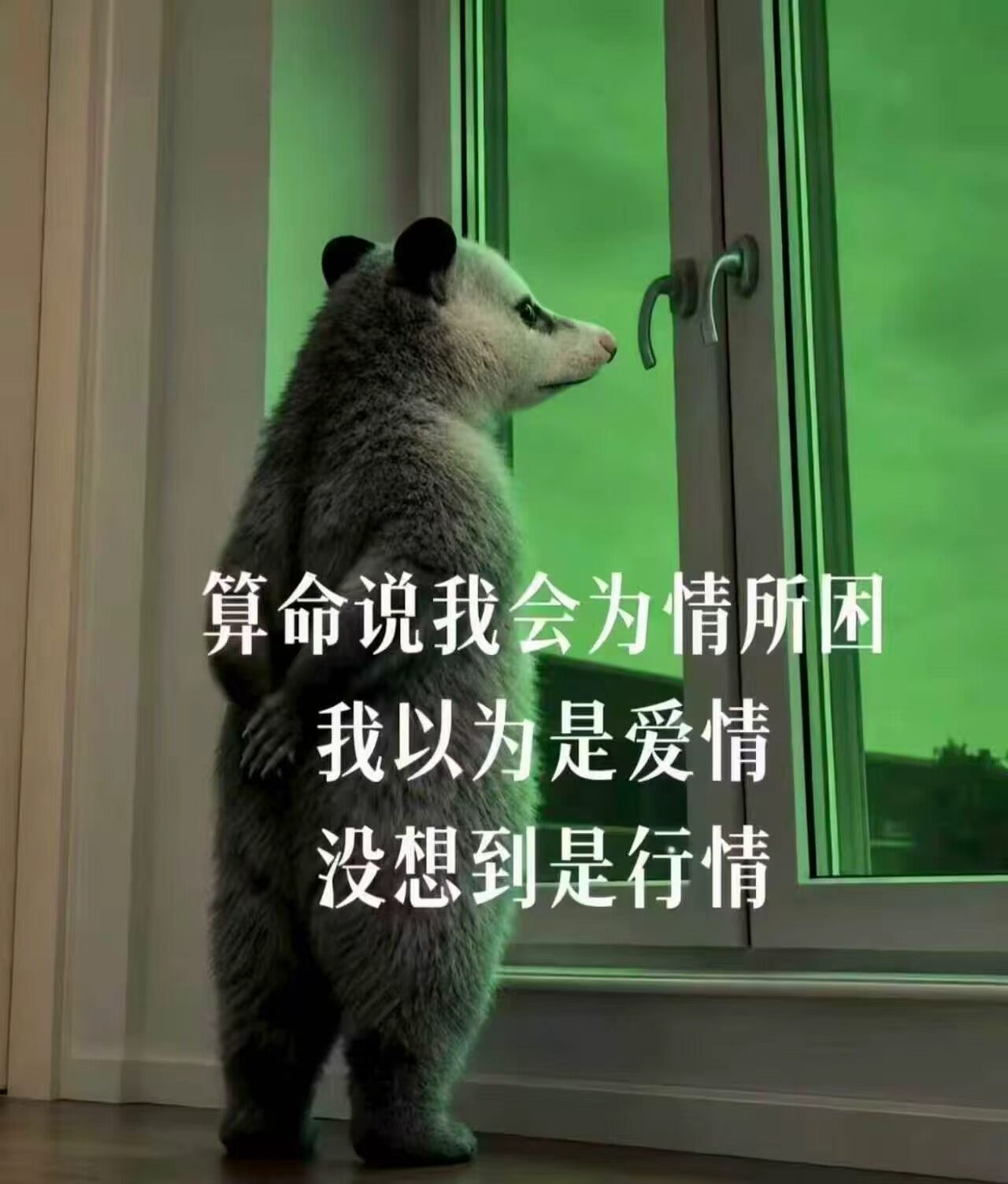 我哥不出现的日子真的是无聊透顶了
