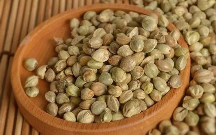 肠道里堆满了大便，老中医有1招，快速清肠排便，这个土方子有钱也难买  老是便