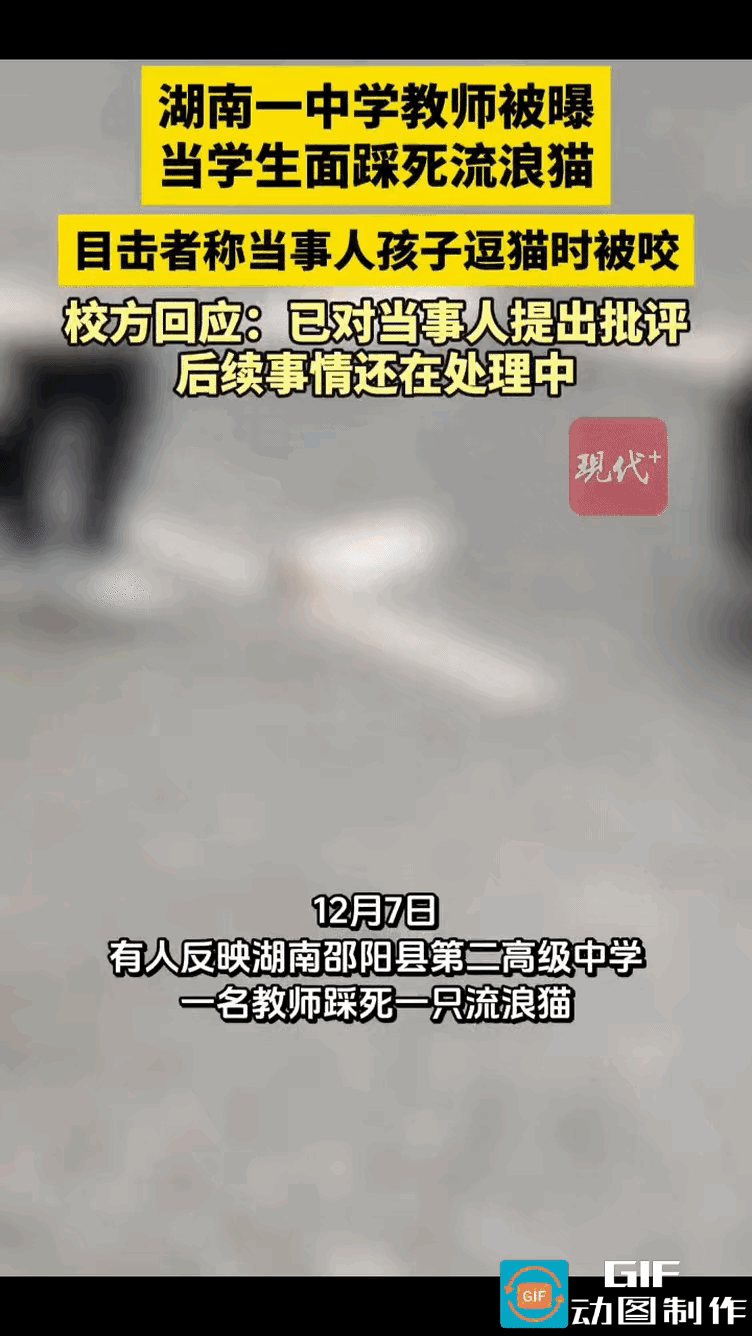 体育老师已经被停职！学校保安说被踩的流浪猫在学校已经很久了！平时就躺在学校门口晒