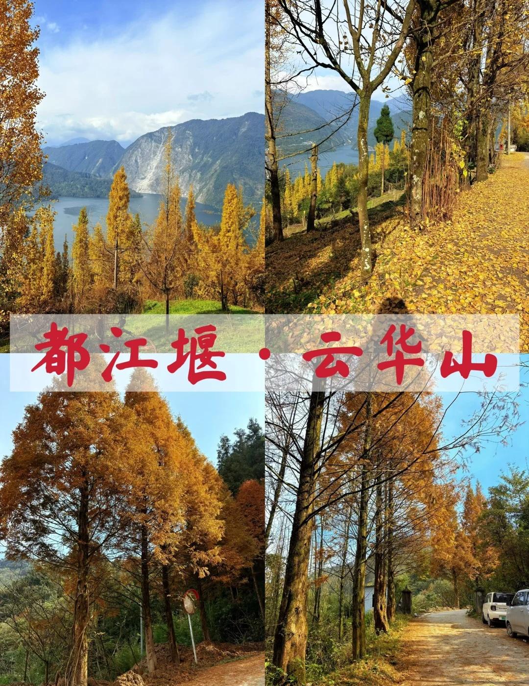 都江堰｜5KM徒步云华山，银杏红叶🍁美翻了每周一山，本周去的是都江堰云华山。