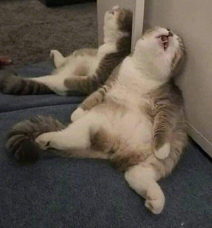 不要再发生娃了再点进去是这样我不看了