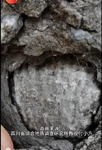 我们脚下的土地，远比想象中更神奇，它是一本尘封的地球日记，只待有心人偶然翻开。这