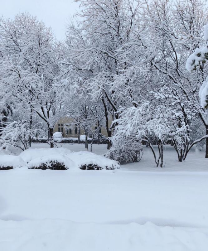 这次寒潮，重点已经不是降温了。他说，真正要命的，是马上要砸向湖南、贵州、重庆