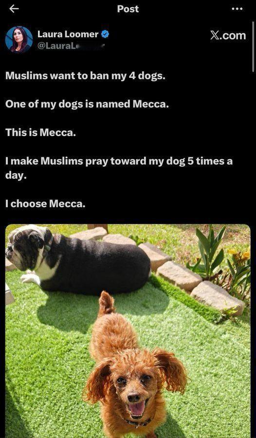 跨国监管黑手：劳拉·卢默指控X平台执行巴基斯坦法律2月22日，美国知名独立记者劳