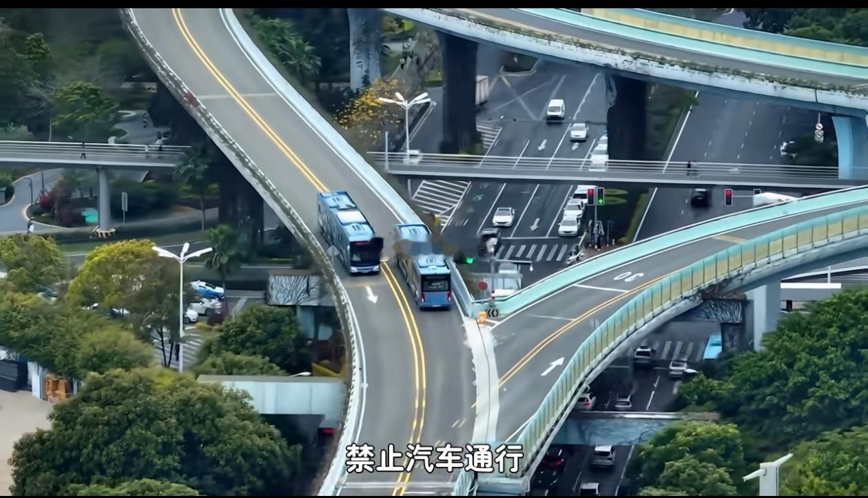 厦门BRT是全国唯一一个高架桥通道的BRT，运行效率国内最高，当然投入也是巨大的