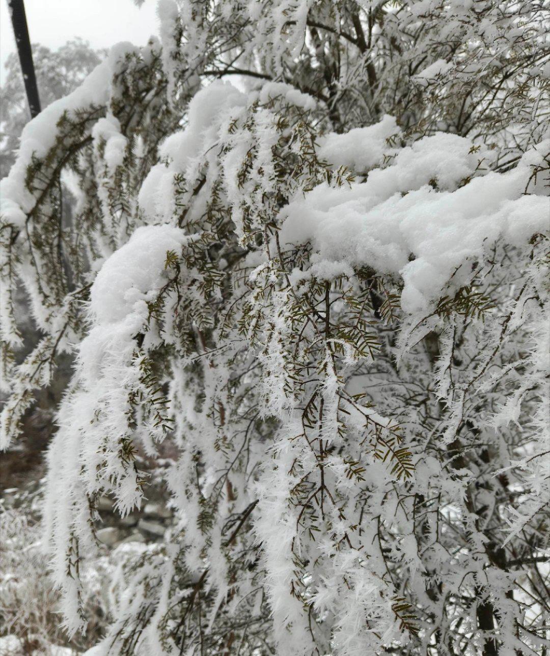 官方一句“我国已进入拉尼娜状态”，直接把微博热搜冻成冰棍。有人慌得一批：是不是又
