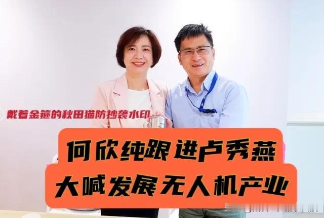 何欣纯与江启臣争台中市长，却跟卢秀燕唱一个调？这绿委玩得有点精！台中选战更是