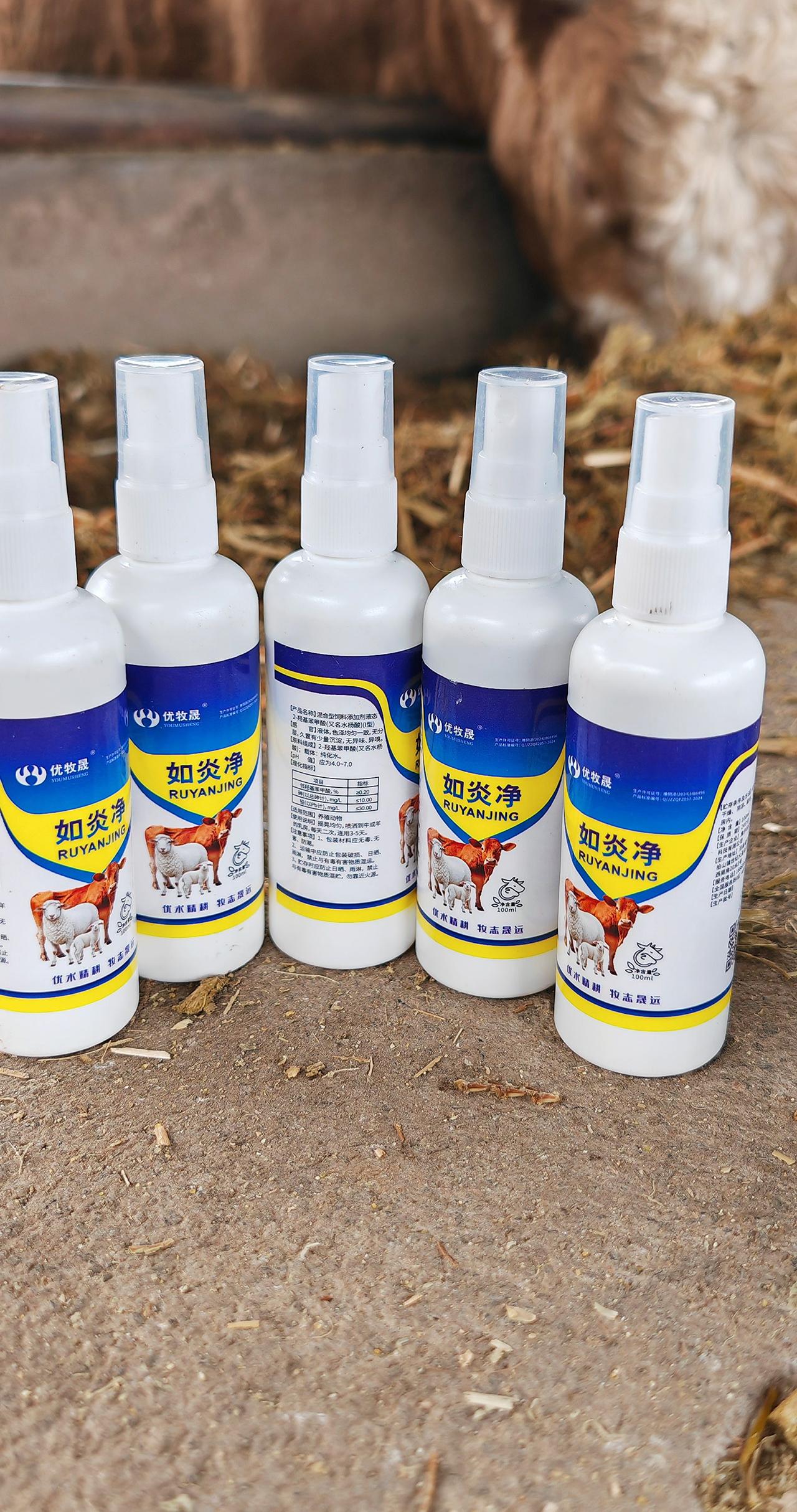 养羊人农村养羊牛羊养殖养殖人加油