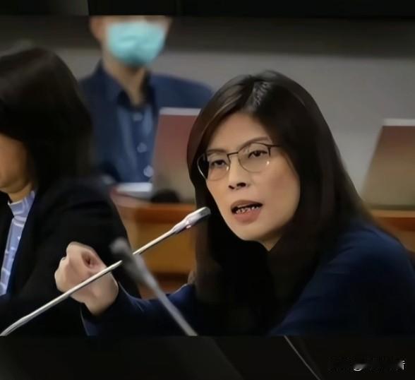 郑丽文急推新北提名，蓝营团结与蓝白合成败在此一举新北市长选举的棋局，正迎来