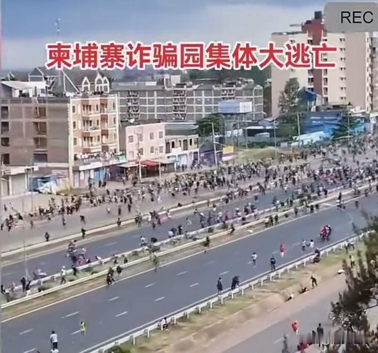 柬埔寨电信诈骗园诈骗分子集体大逃亡，这下场来了，庇护没了，看谁还敢收纳这些败类，