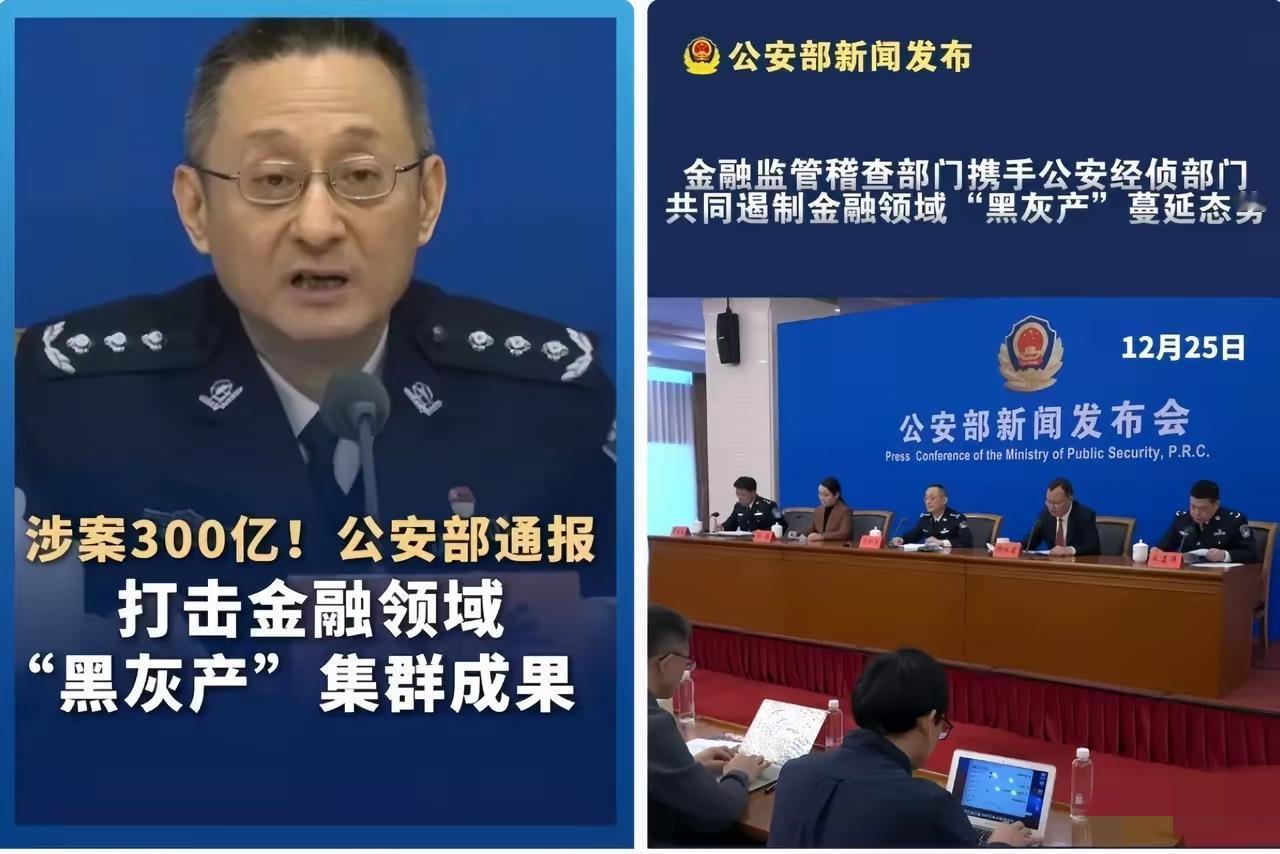 这一刀，终究是砍在了大动脉上。​12月25日公安部的发布会，真的又解气又提气，
