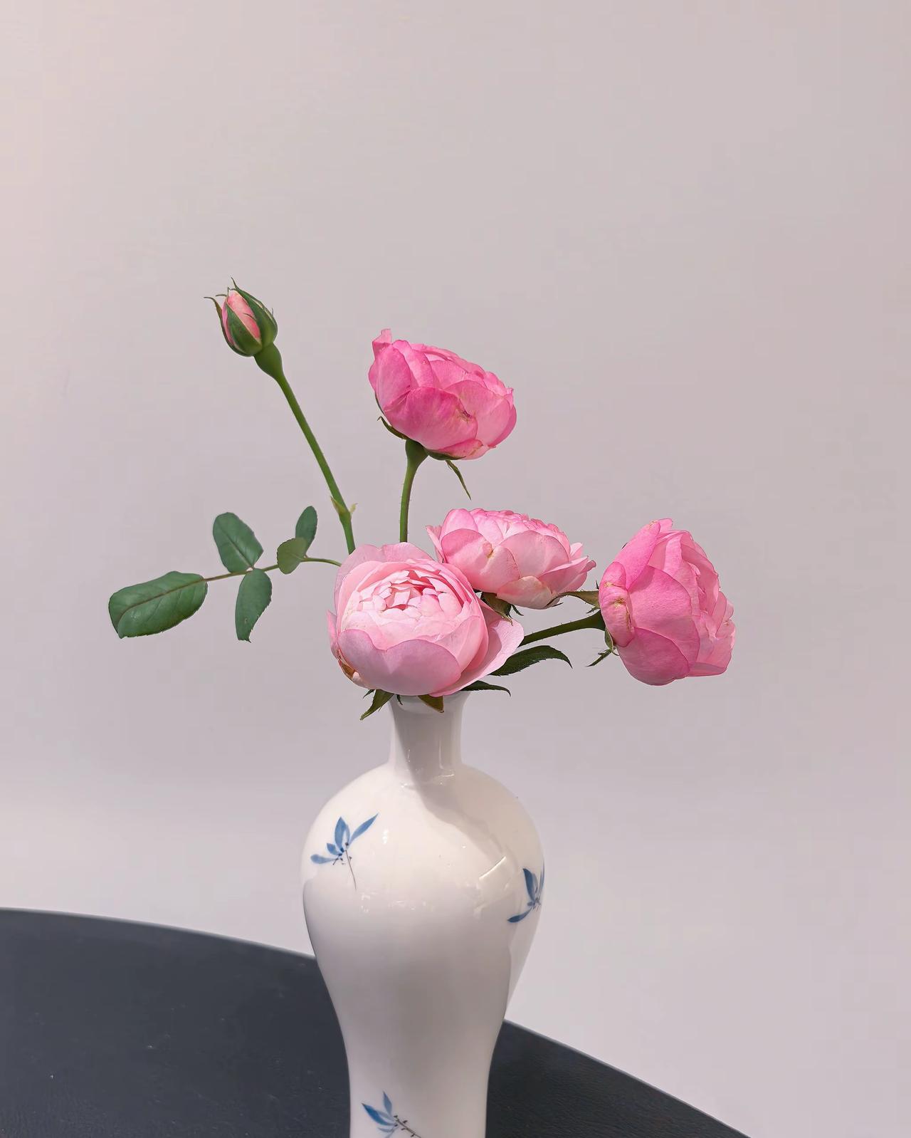 今天又迎来一个好消息，社保中心❤️给我打电话，说我目前工龄虽然只有14年