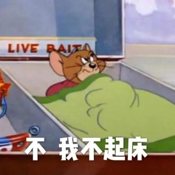 十二星座的起床模式闹钟响就起的：处女、摩羯、金牛按掉继续睡的：白羊、狮子、射手设