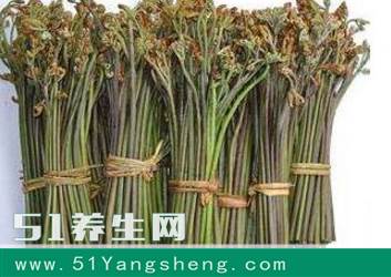 蕨菜的功效和作用有哪些?