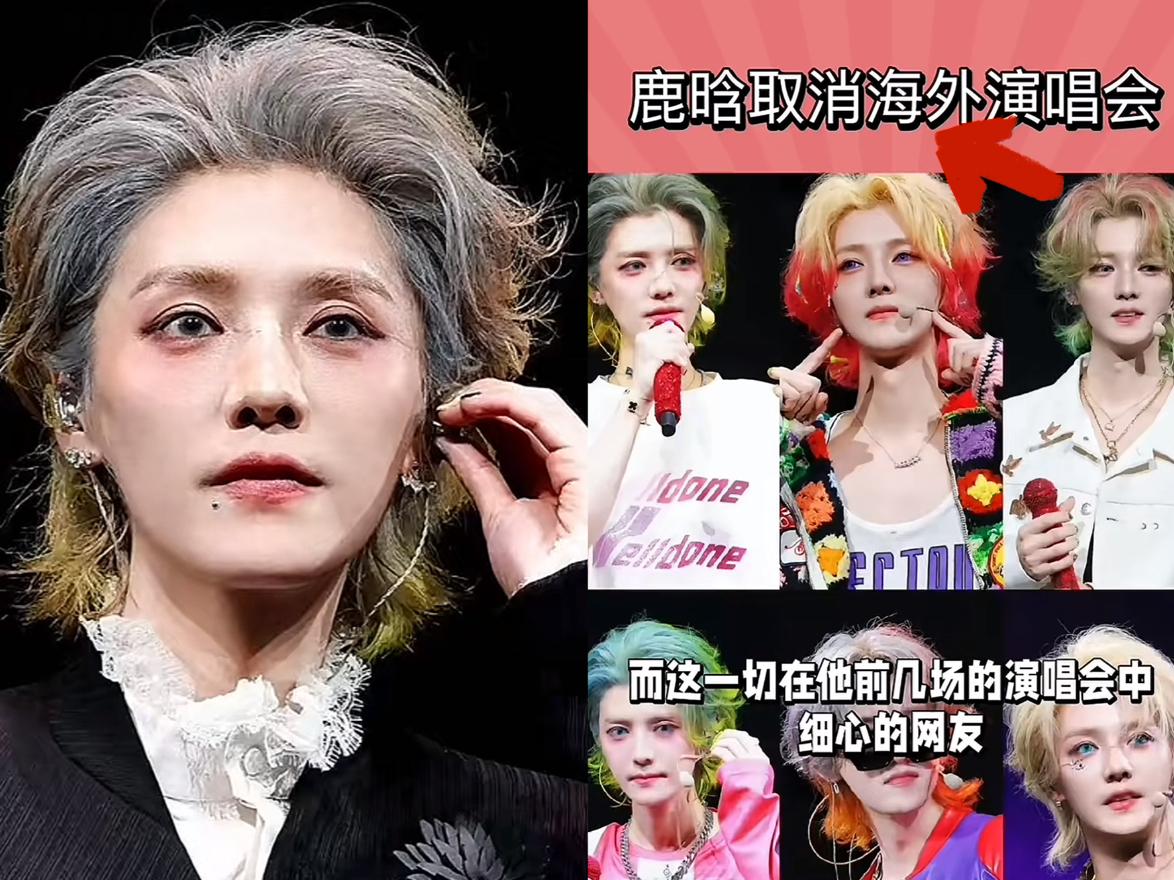 鹿晗倒下了，一场巡演刚开，吉隆坡和东京的灯就暗了，不是塌房，是医生的强烈建议