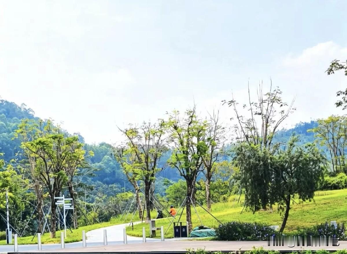 秋日生活打卡季青山连绵，草地鲜润。蜿蜒步道藏在林木之间，清浅日光漫过山野，寻一处