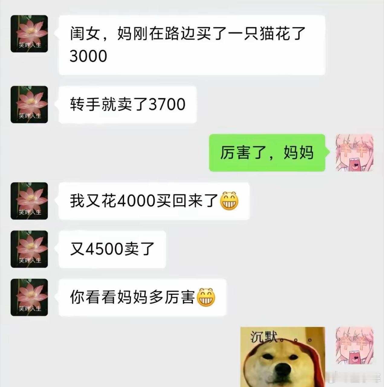 所以卖猫到底赚了多钱​​​