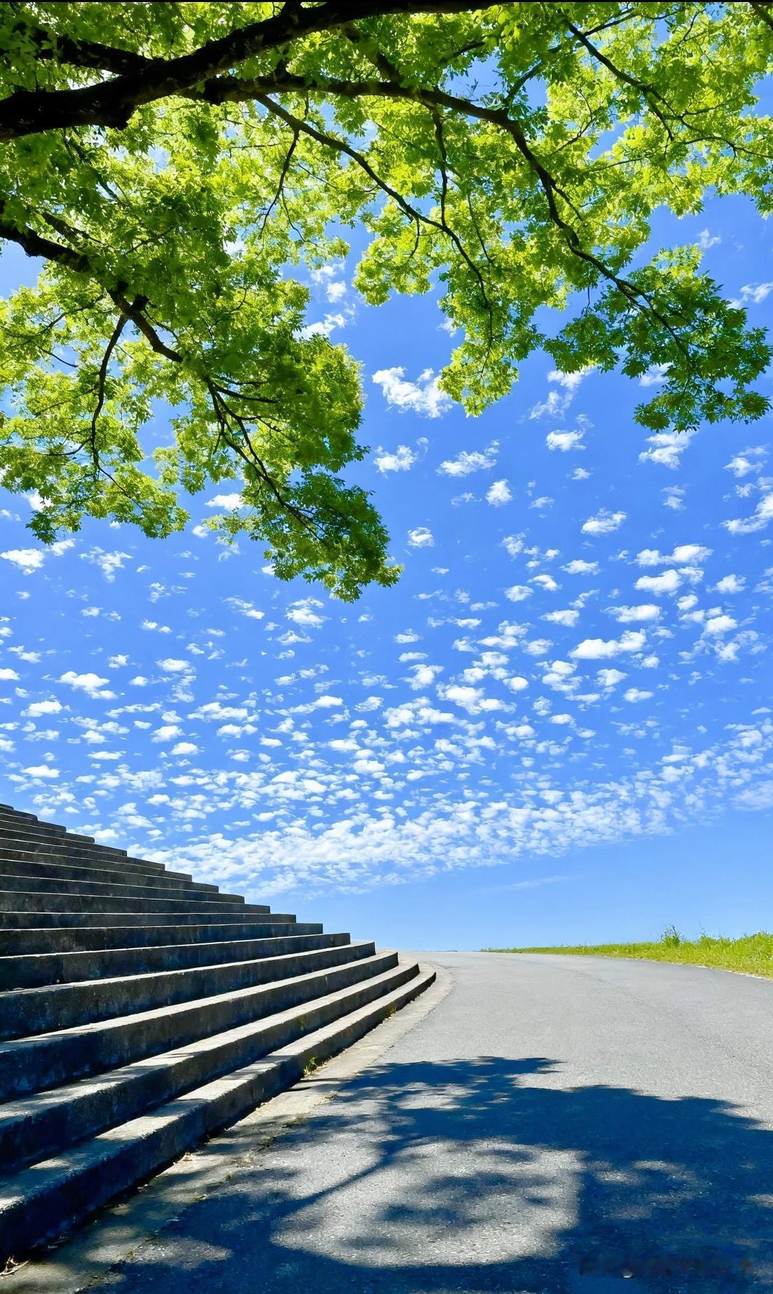 醍醐灌顶的话：“所有的人生问题，本质上是经济问题。所有的经济问题，本质上是认知