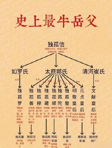 中国历史上最牛岳父独孤信，鲜卑人，担任西魏大司马，是8柱国之一。娶妻如罗氏