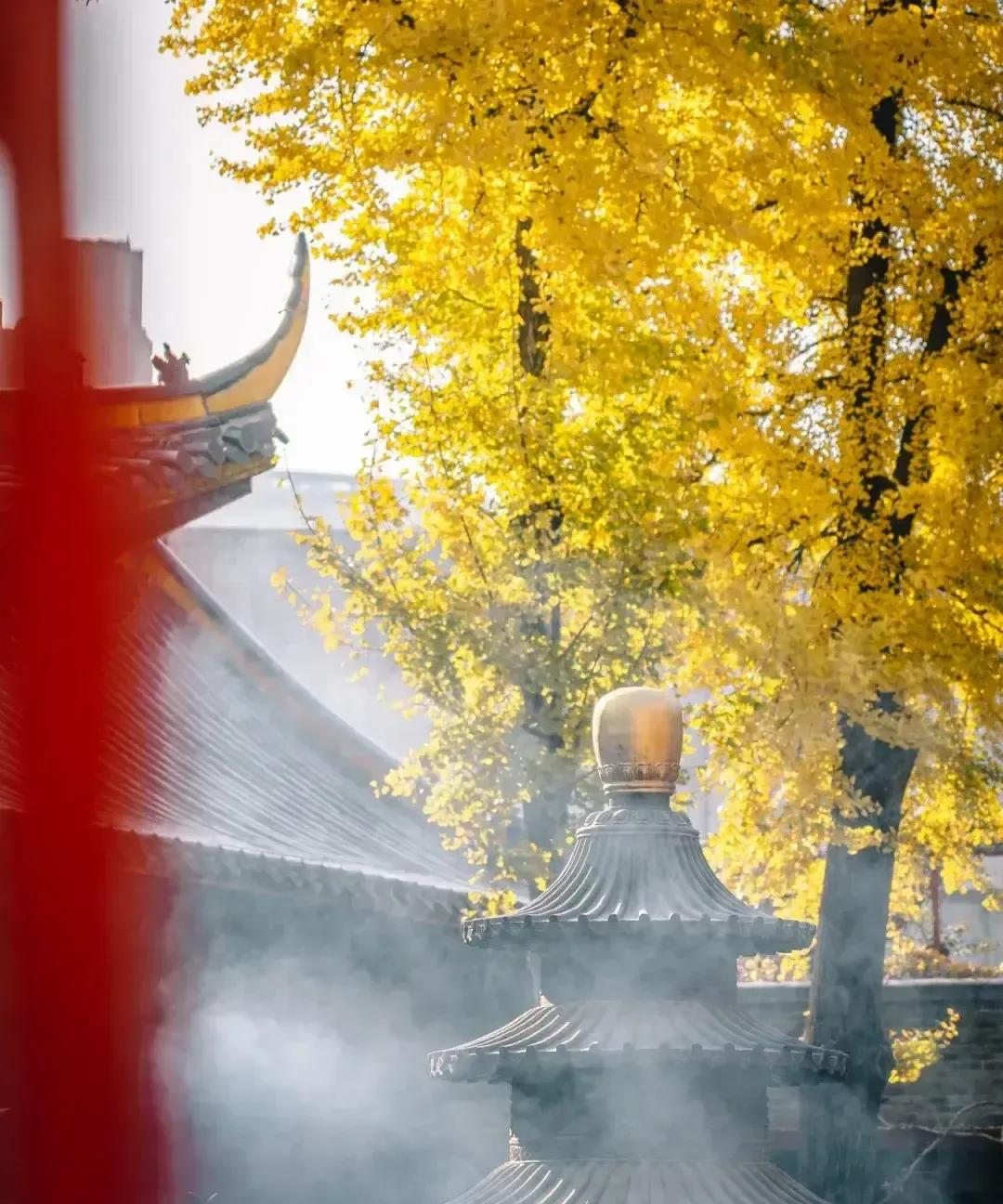 已婚情感博主跟失联多年的初恋重逢，俩人火速旧情复燃滚了床单。她以为找回青春，结