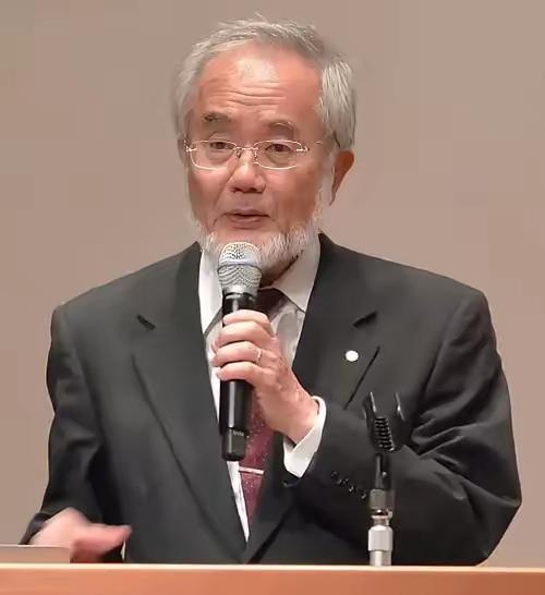 你敢信吗？日本生物学家大隅良典因为发现了饿肚子时身体靠"吃掉"受损细胞来自我