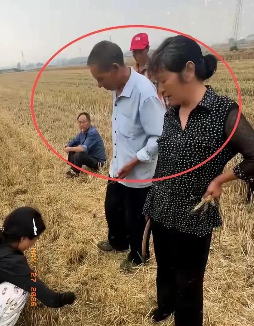 太闹心！湖北大娘和田亩师傅争执，耽误全村收割真没想到乡里乡亲，能为几亩地闹