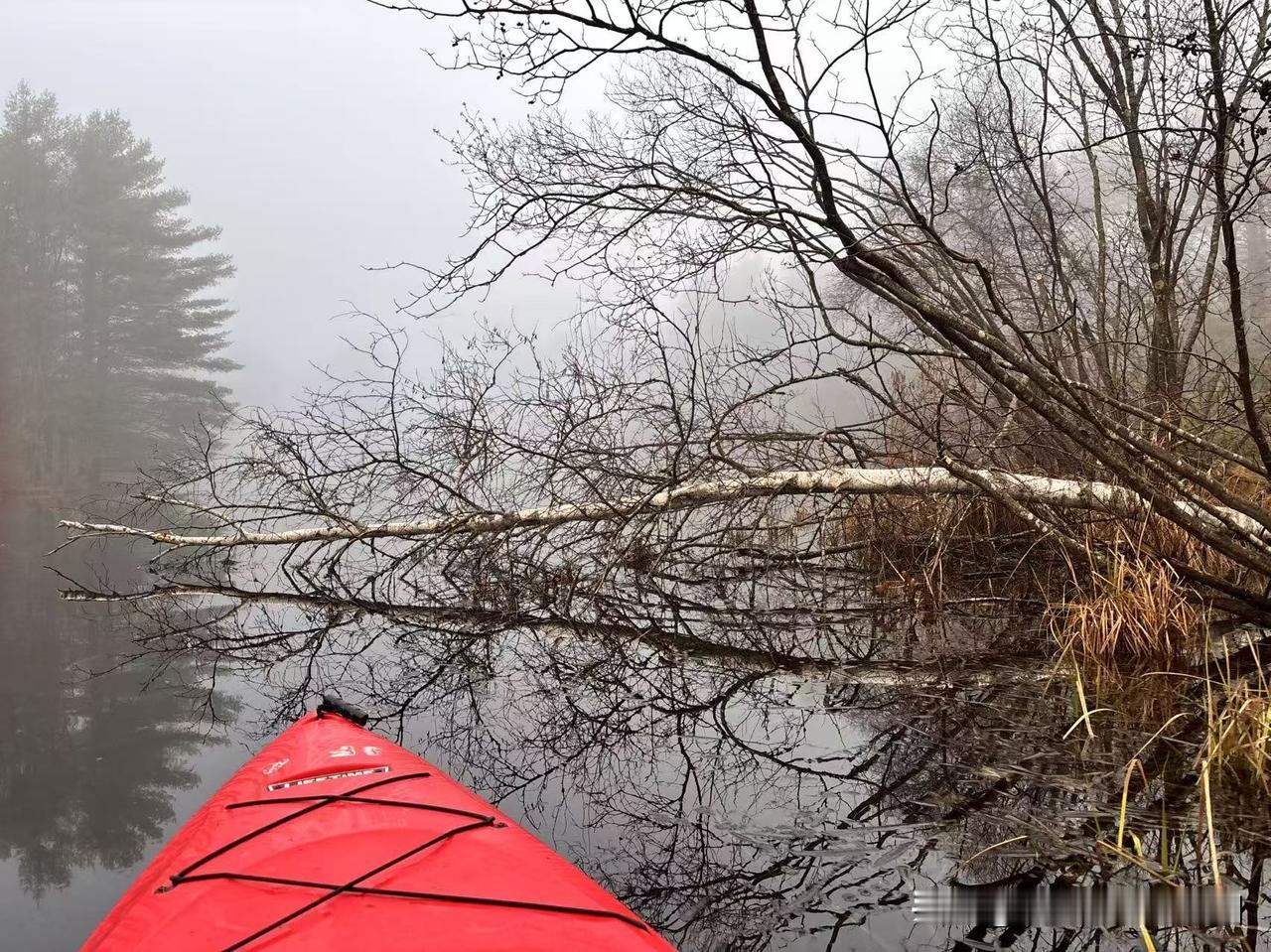 《秋韵副刊》｜怎样让一幅照片，表现画家级观看世界的视觉符号？太太最近累了，连