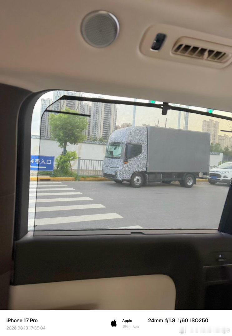 这....货车还有伪装车吗
