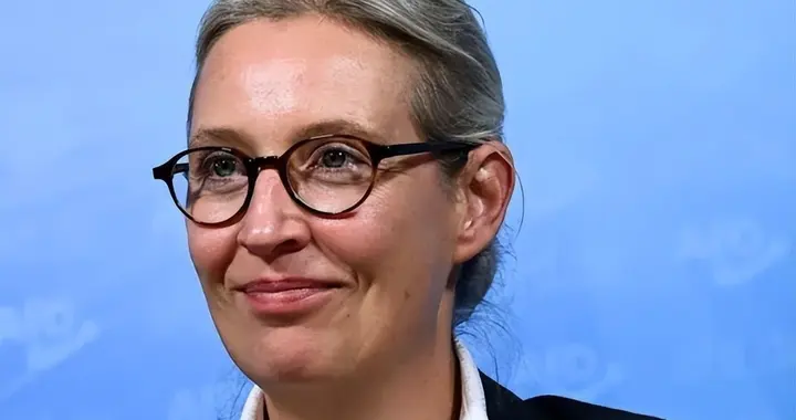 魏德尔已经意识到, 如果继续让建制派掌权, 德国迟早要被整垮