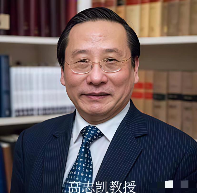 高志凯教授，你这个提议怎么如此让网民共振共鸣？高志凯教授，你的这个提议太让网