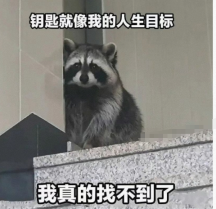 我真的找不到了