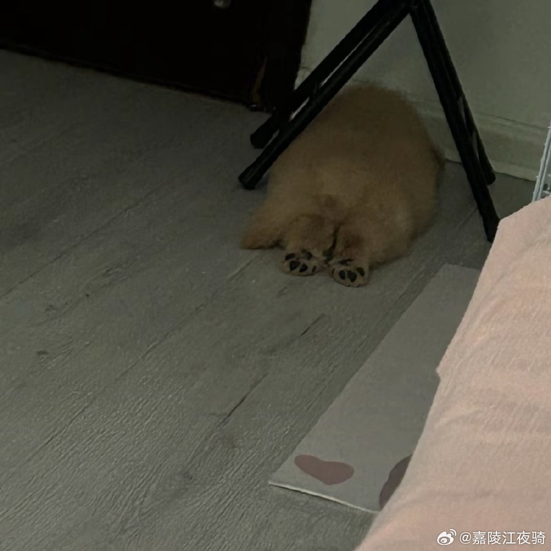 正面背面