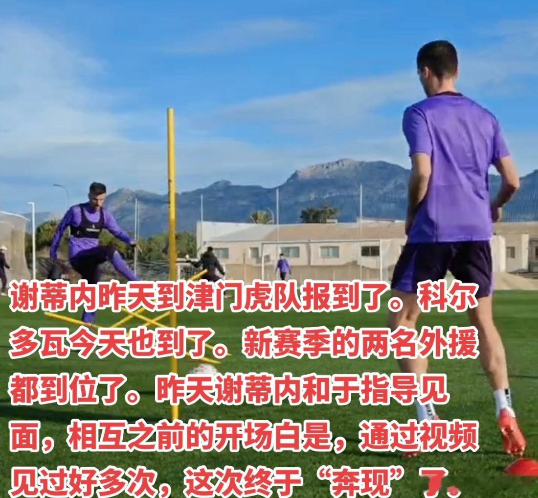 ⬇️⬇️⬇️天津津门虎