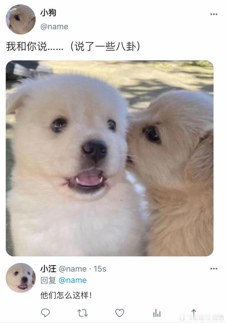 救咪呀！咪咪被鲨鱼咬住了