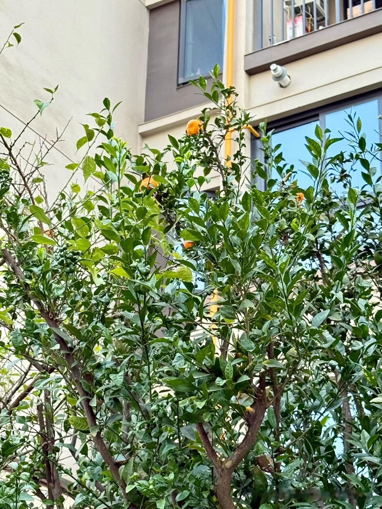 人这一辈子，只做三件大事就行了。第一件事：狠狠搞钱，别不好意思！真的别被“