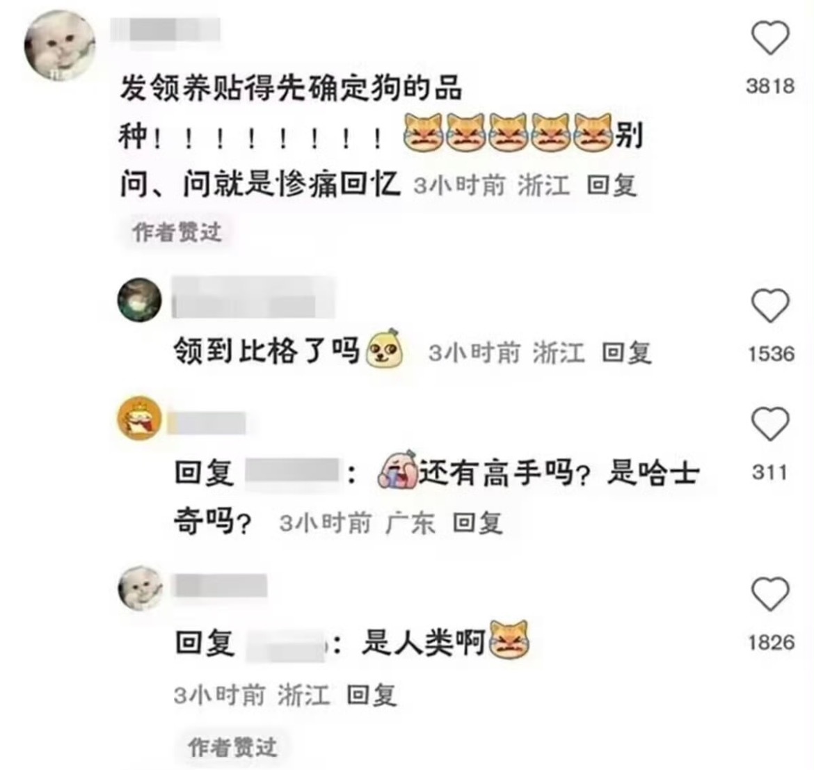 史诗级欧亨利结局