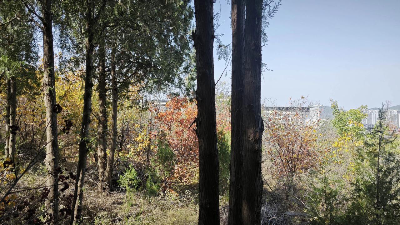 一位百岁老人说：“不要追求什么大富大贵，大富大贵的背后，是大灾大难。人生小满胜万