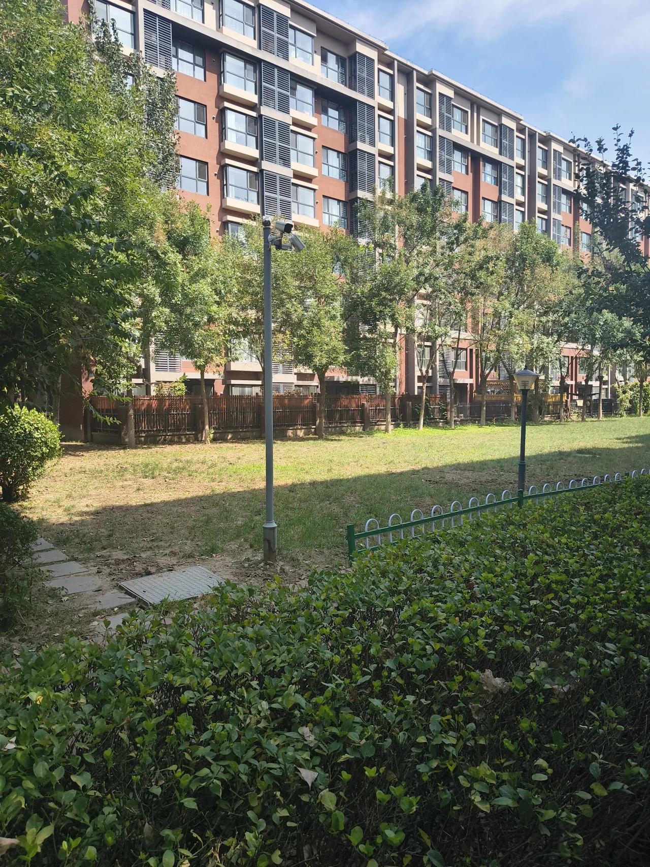 今天听到一位东北老师傅说了一句:三两棉花，弹不上。原来小区里有个退休老头，估