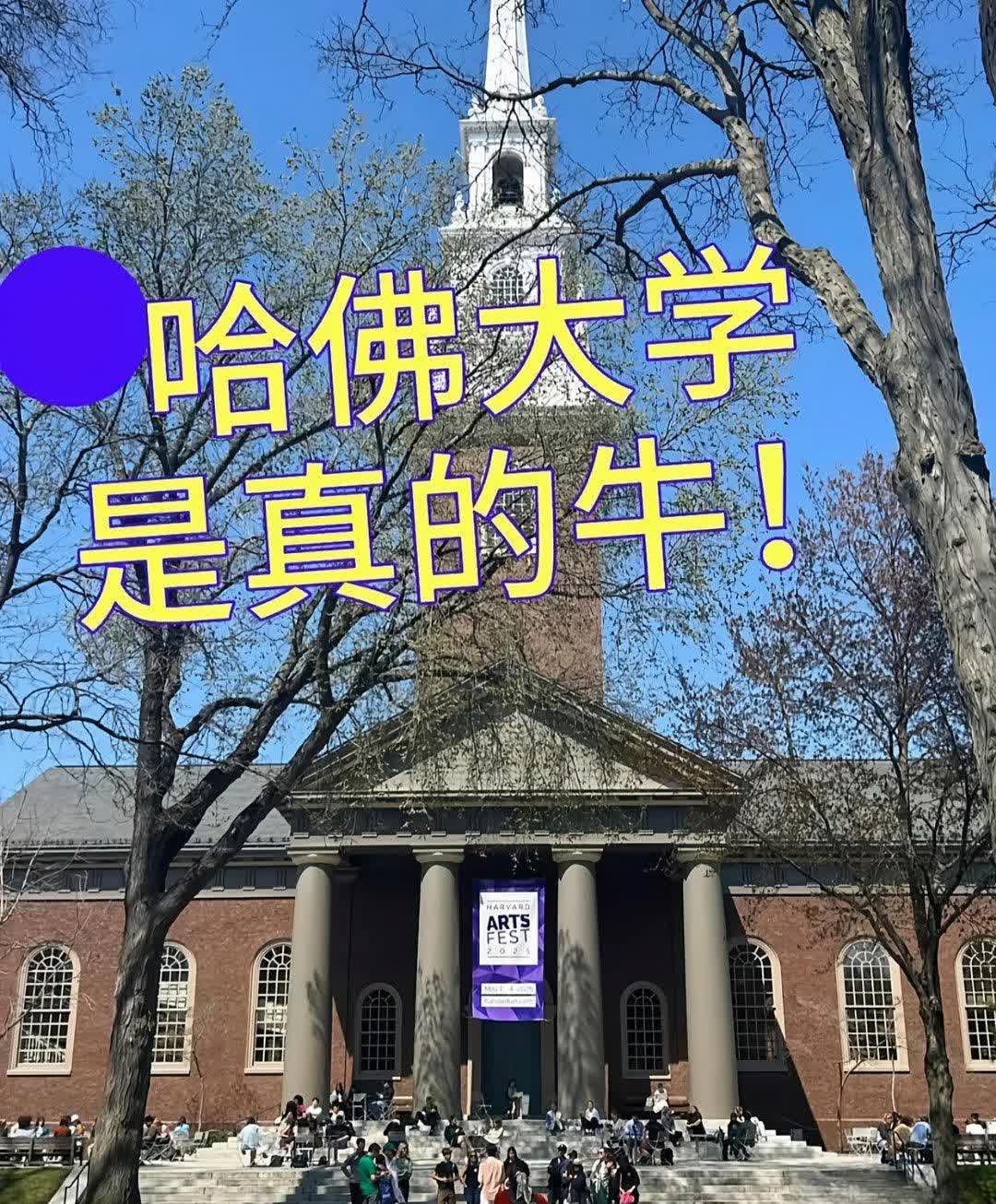 我给在哈佛念书的朋友打电话，就听她在电话那头带着哭腔，声音哑哑的，估计是在宿舍阳
