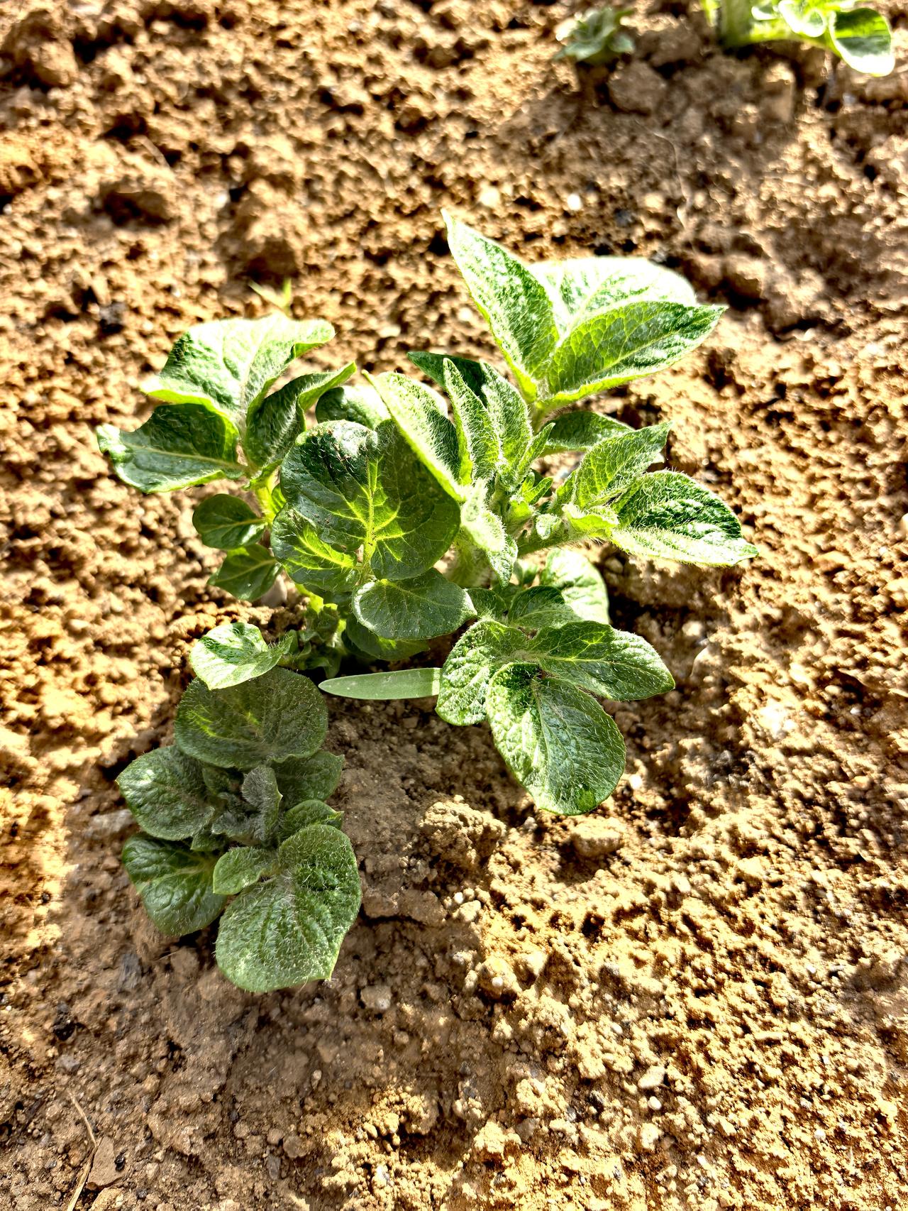 我不看你自己说，你有什么毛病自己不清楚吗？协和医院的医生太牛了，差点没把老伴的