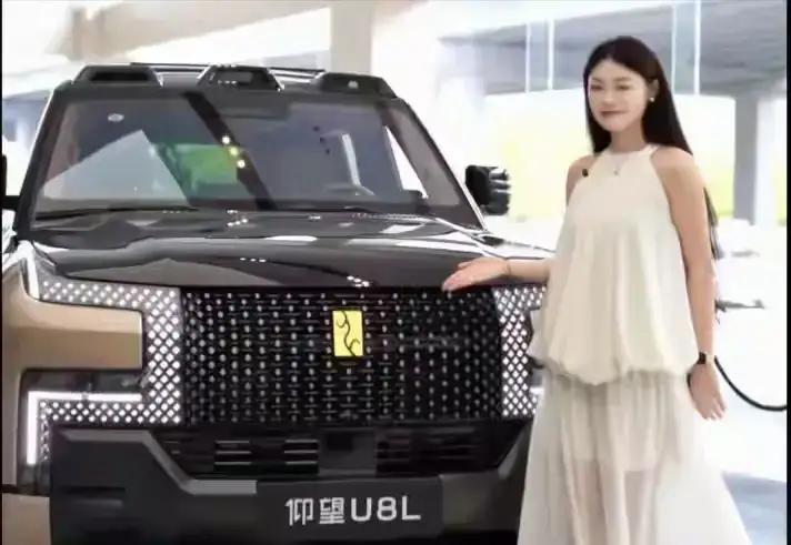 一觉醒来，车圈又沸腾了，2025年国补新政策来了:1、首次购车，并且名下没有车